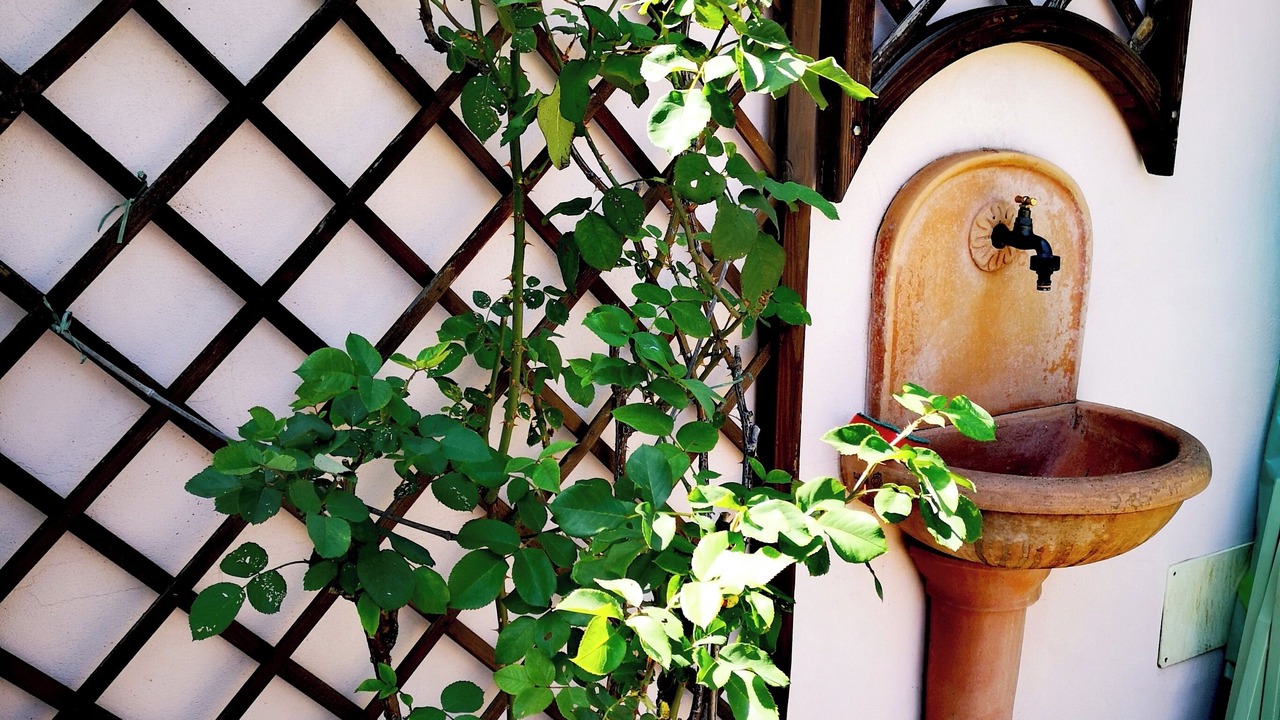Photo of Outdoor in Centro Direzionale