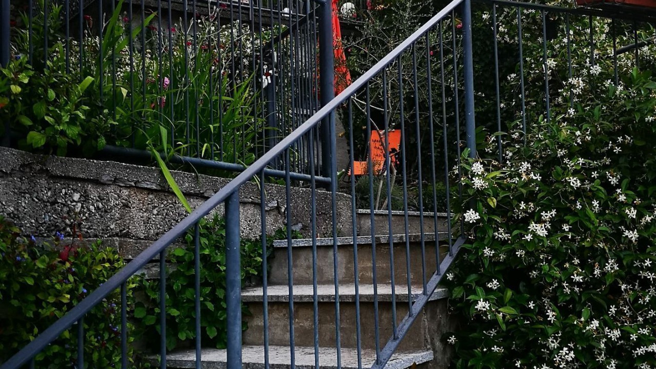 Photo of Outdoor in Moltrasio
