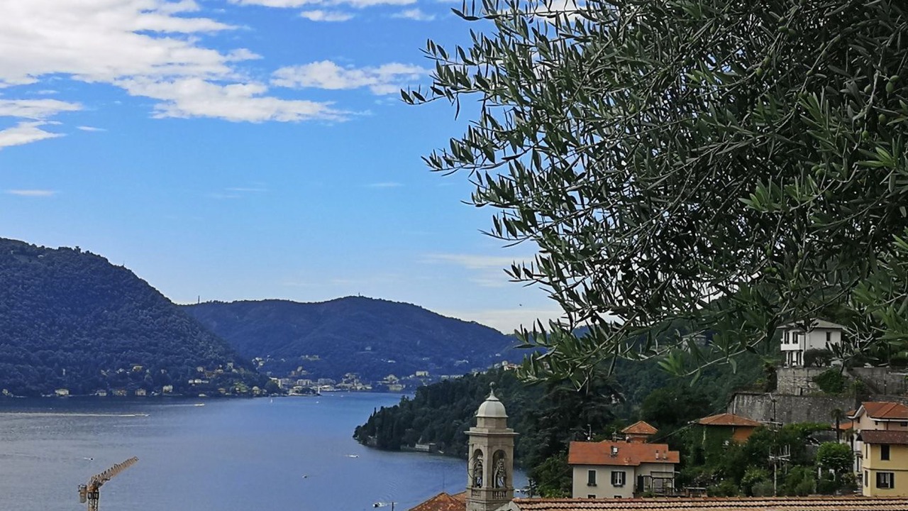 Photo of Others in Moltrasio