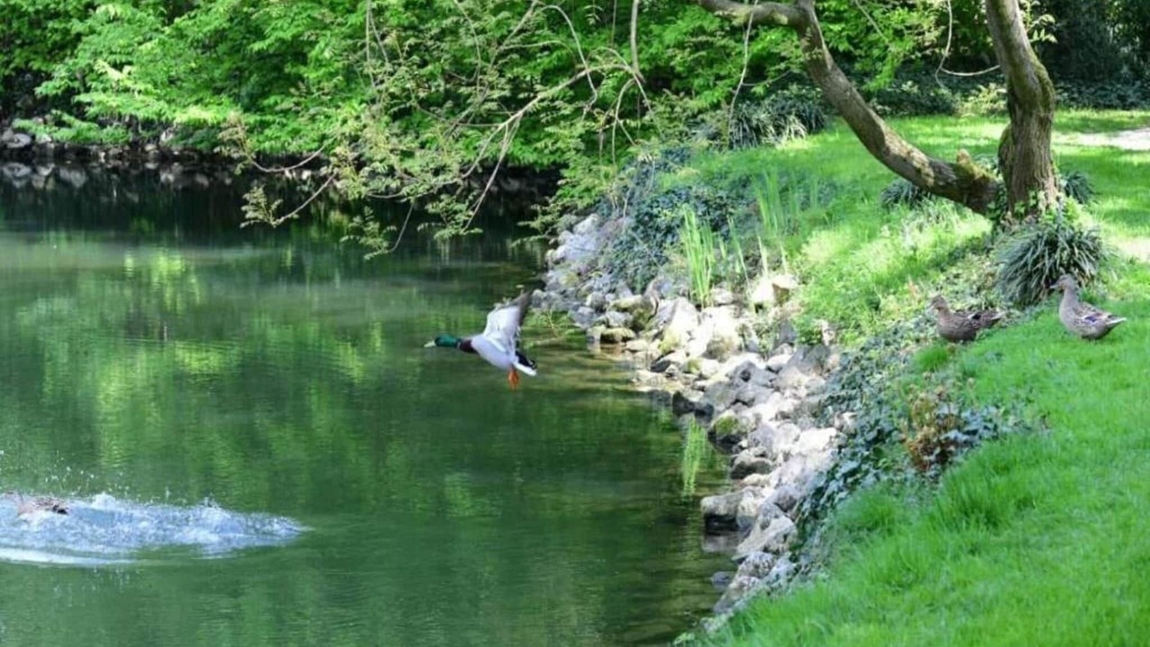 Photo of Others in Stagno Lombardo
