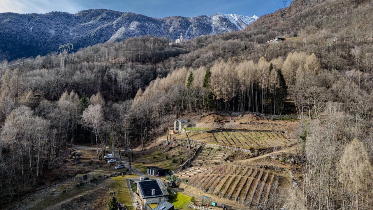 Photo of Outdoor in Menarola