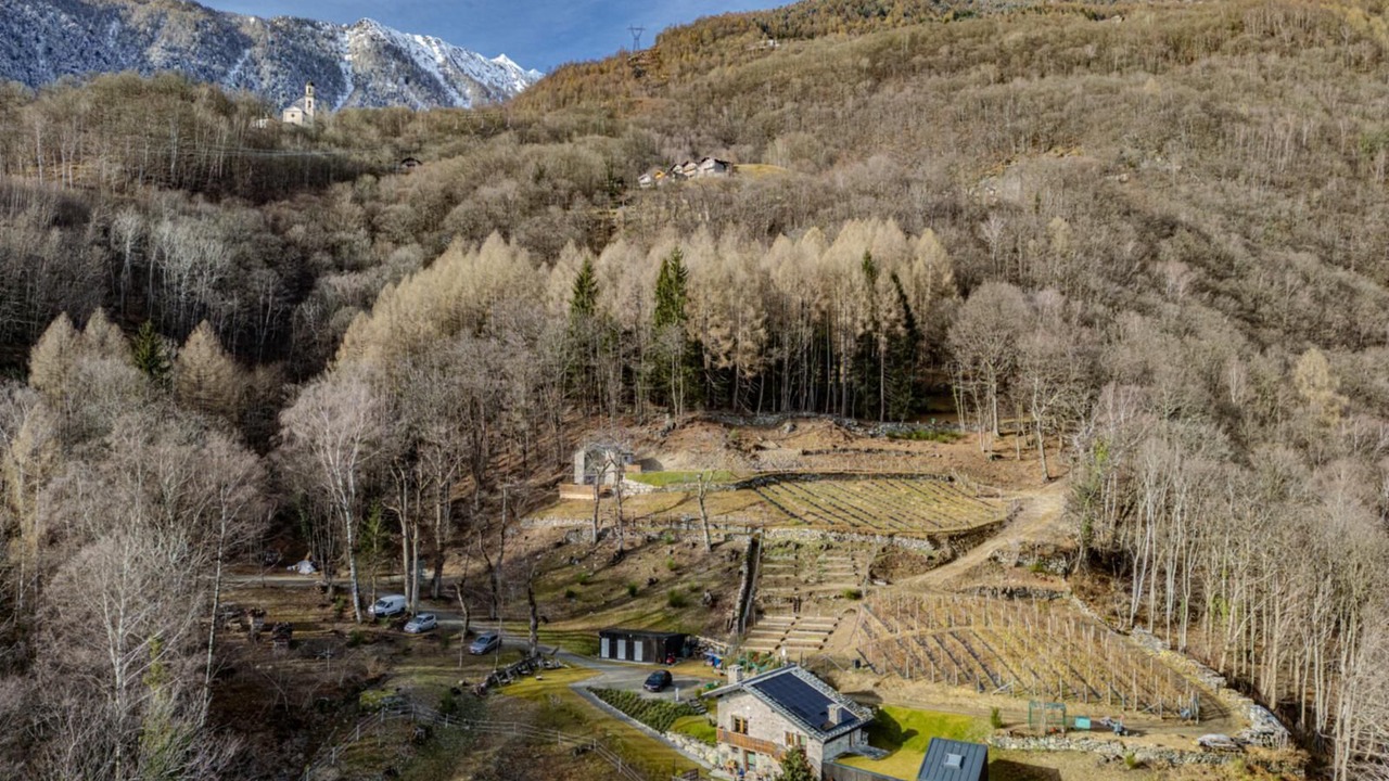 Photo of Outdoor in Menarola