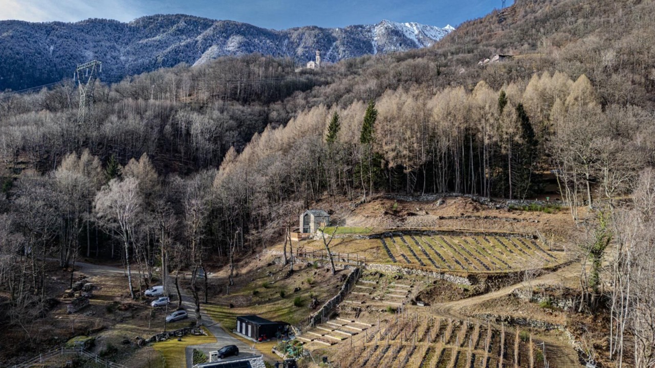 Photo of Outdoor in Menarola