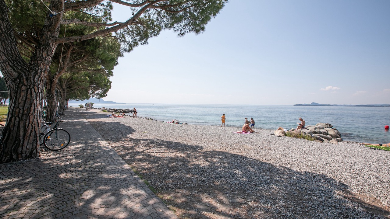 Photo of Others in Gaino