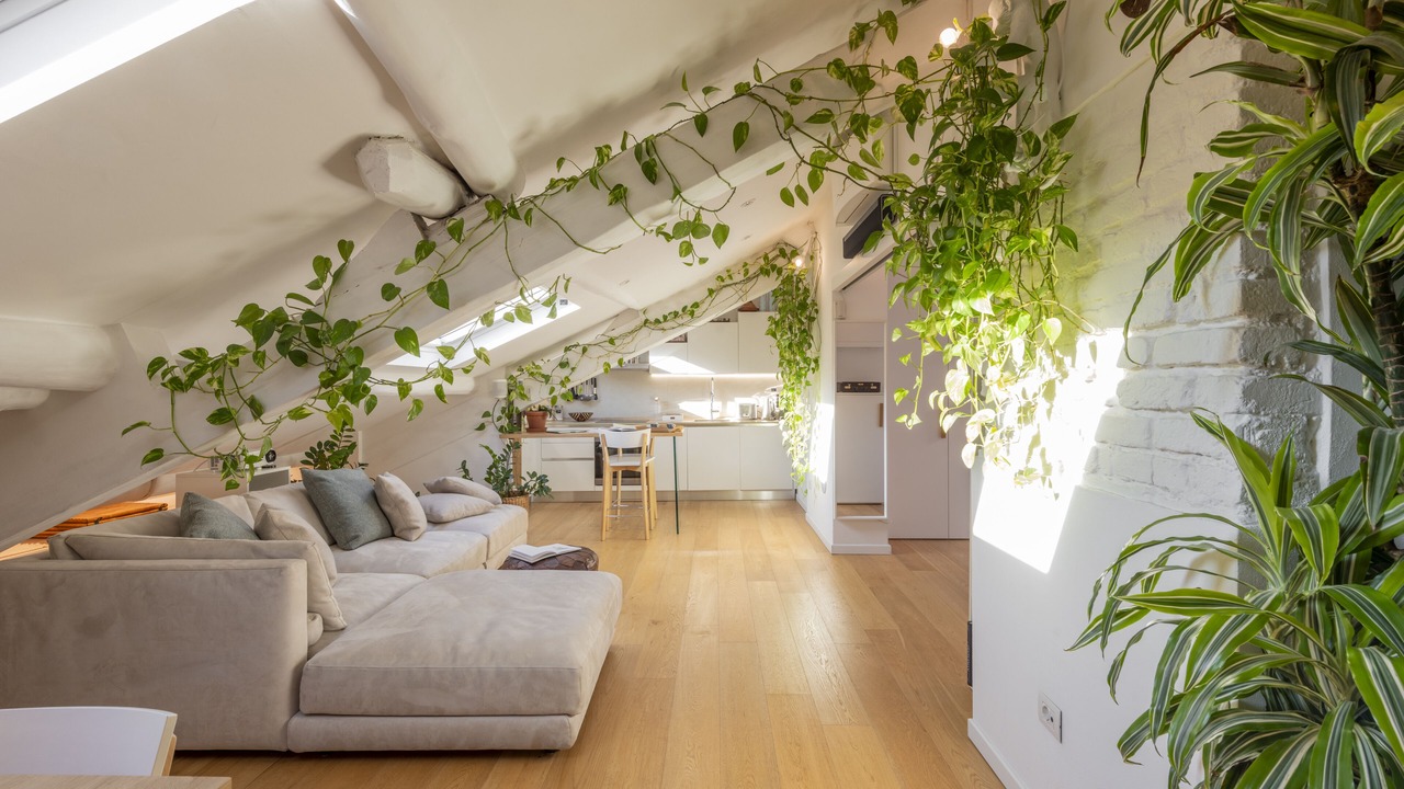 Photo of Livingroom in Magenta