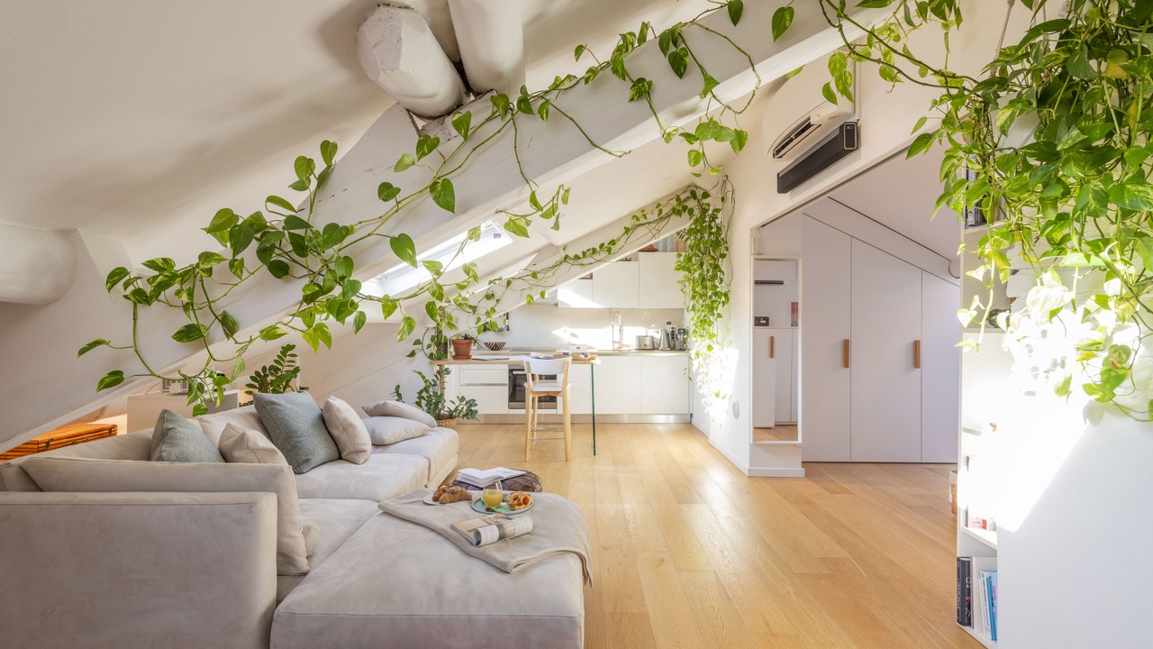 Photo of Livingroom in Magenta