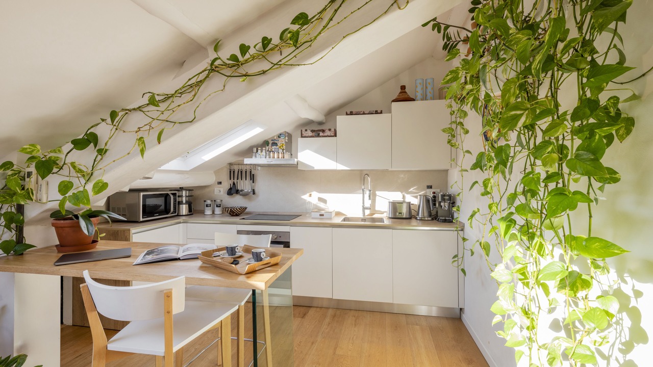 Photo of Kitchen in Magenta
