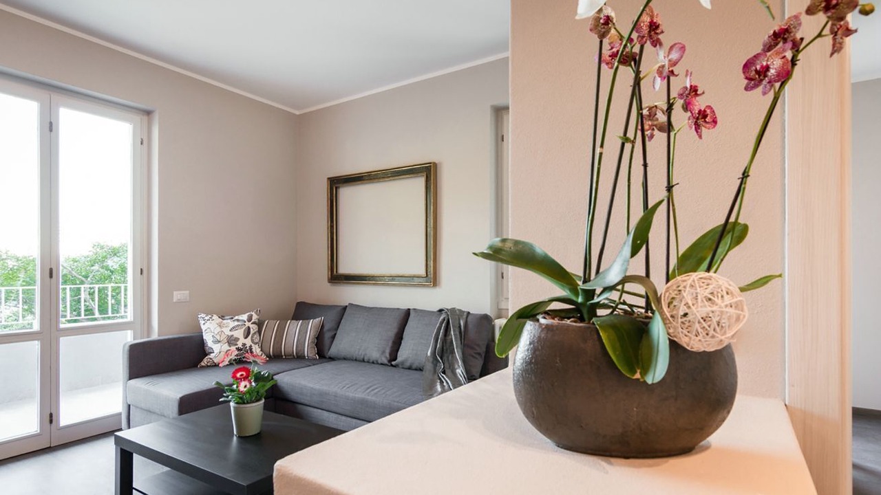 Photo of Livingroom in Moltrasio
