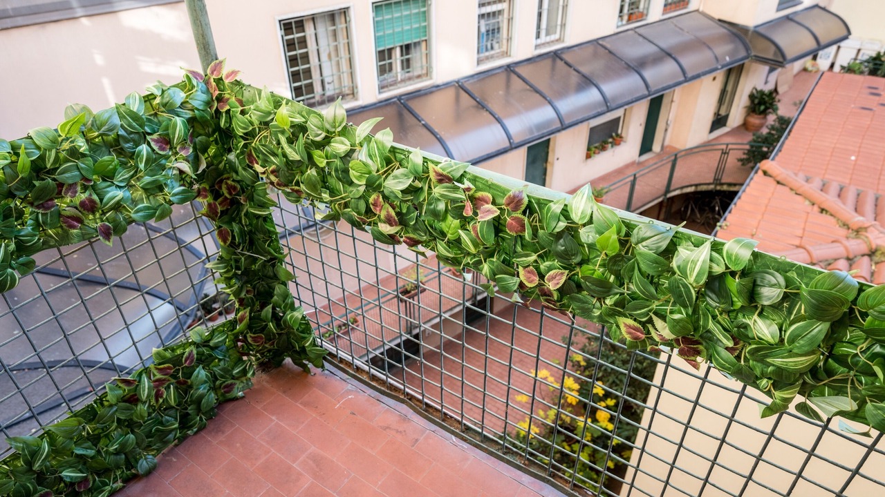 Photo of Outdoor in San Marco