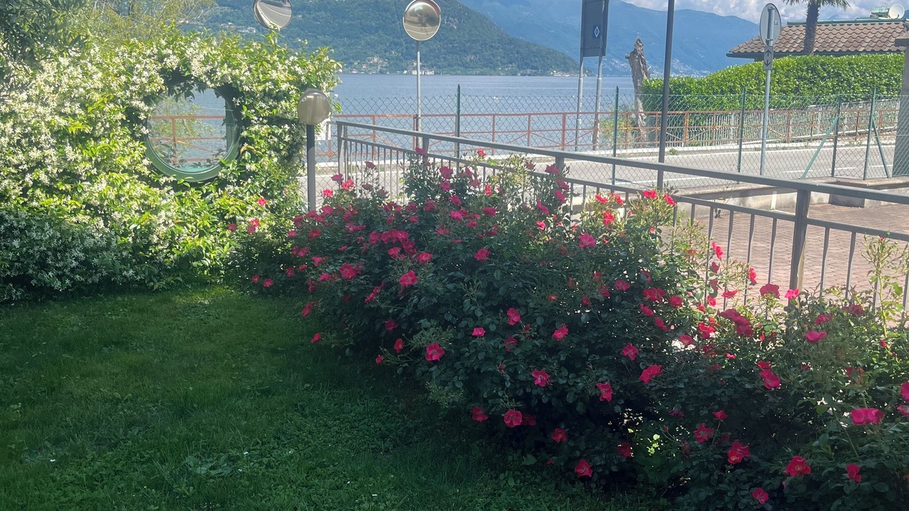 Photo of Outdoor in Germignaga