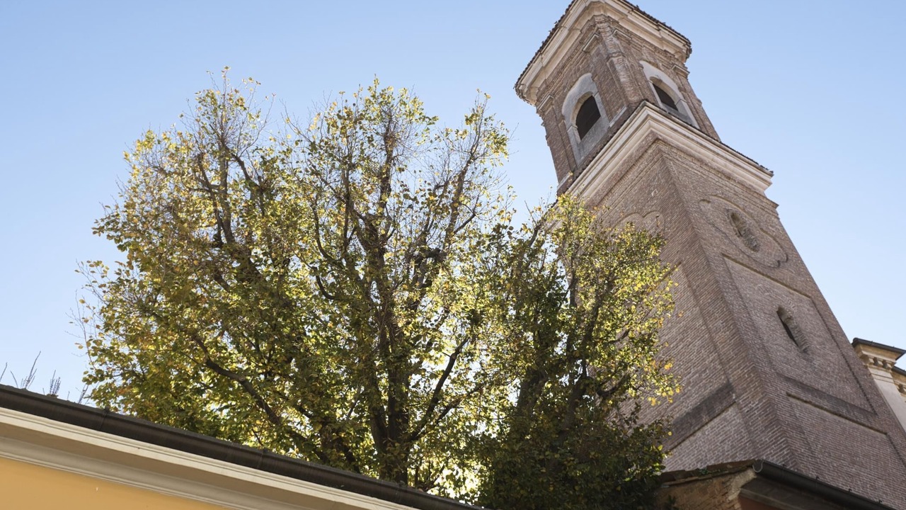 Photo of Outdoor in Cremona