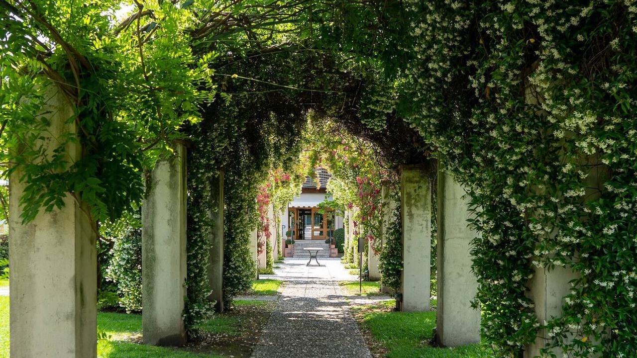 Photo of Outdoor in Iseo