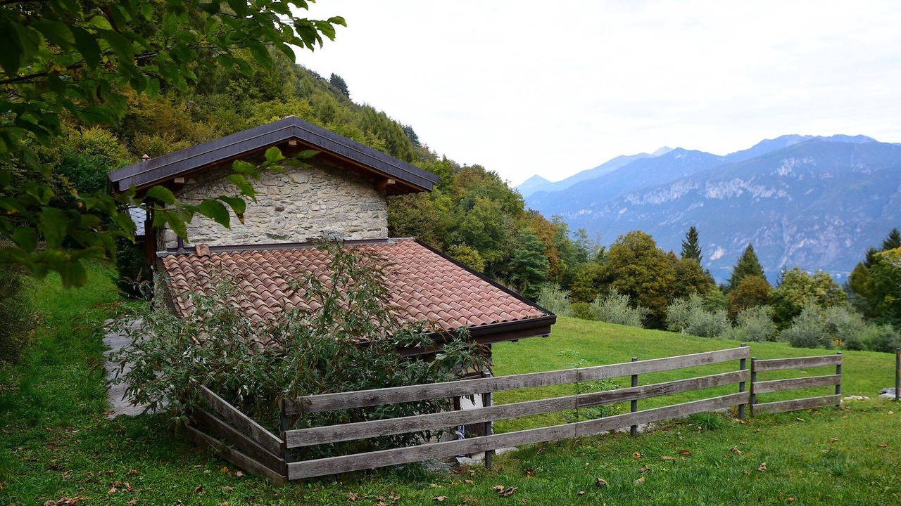 Photo of Others in Limonta