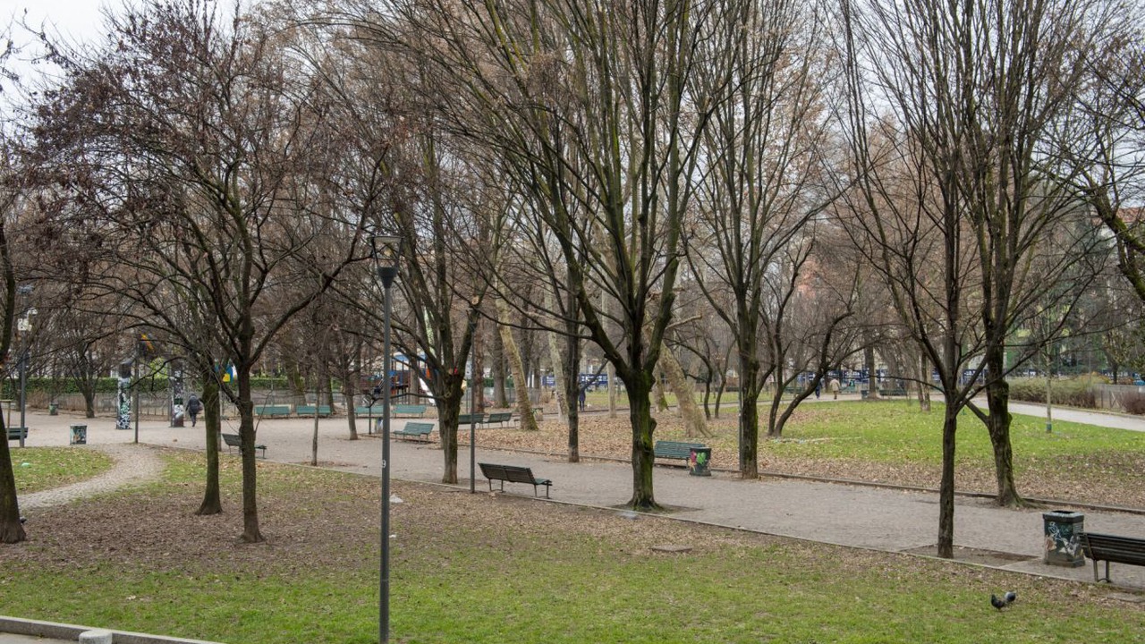 Photo of Others in Zona Solari