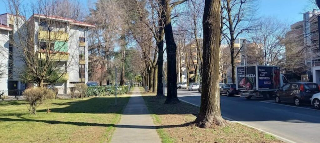 Photo of Outdoor in San Donato Milanese
