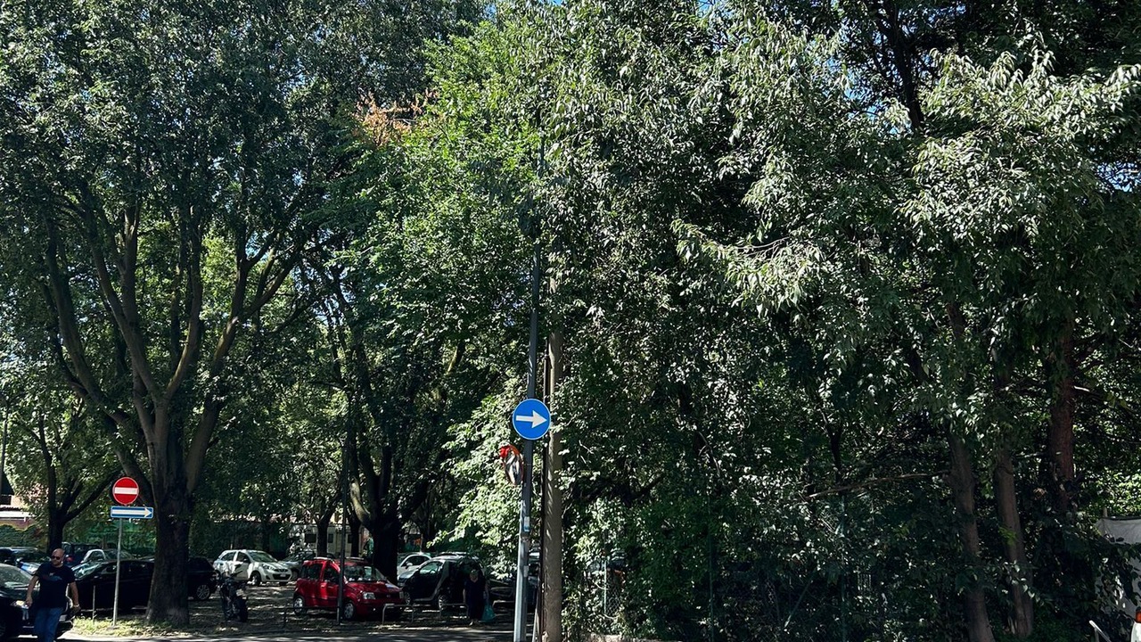 Photo of Outdoor in Garegnano