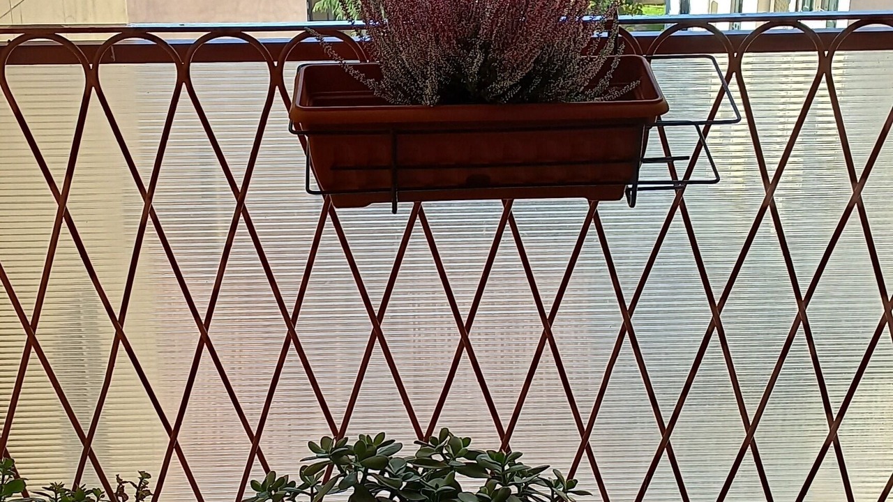 Photo of Outdoor in Navigli