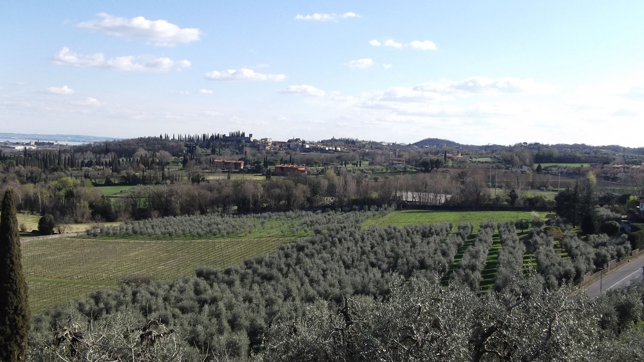 Photo of Others in Polpenazze del Garda