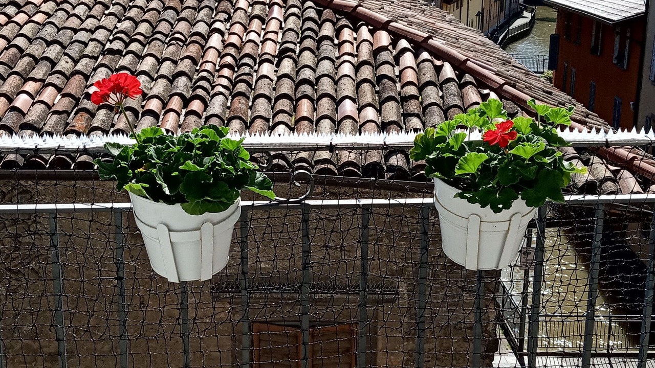 Photo of Outdoor in Alzano Lombardo