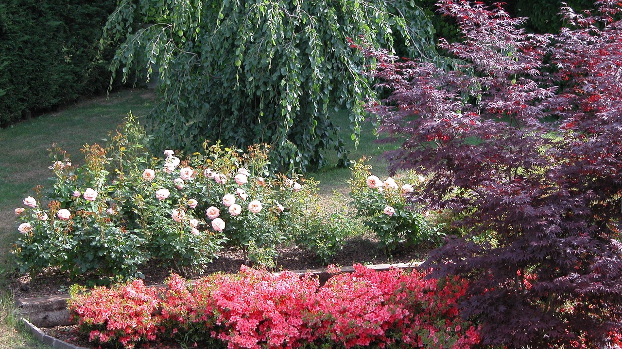 Photo of Outdoor in Villa Guardia