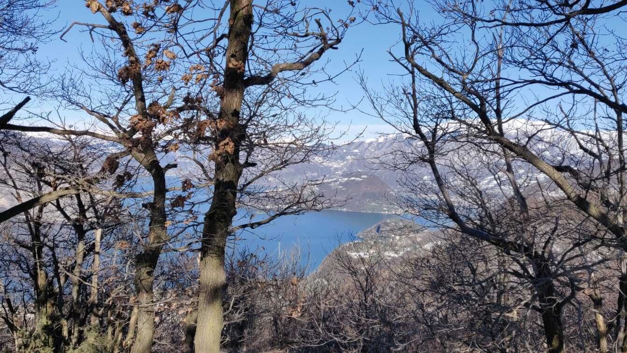 Photo of Others in Provaglio d'Iseo