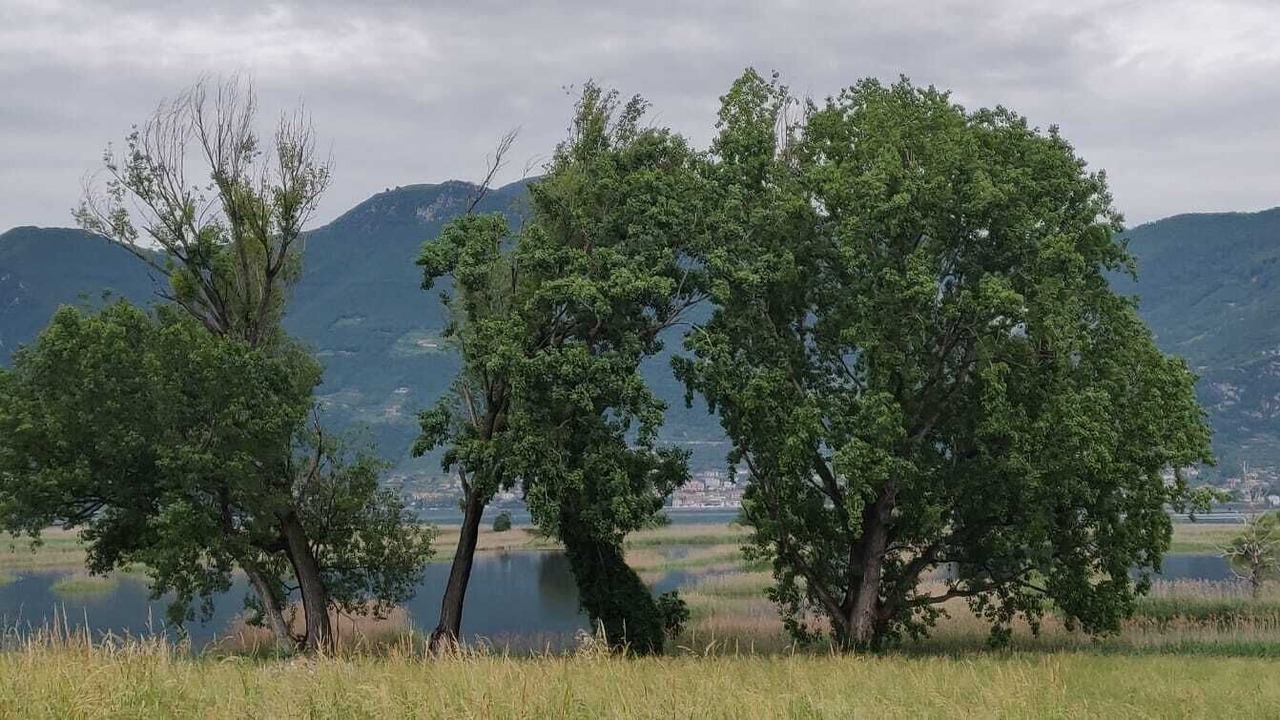 Photo of Others in Provaglio d'Iseo