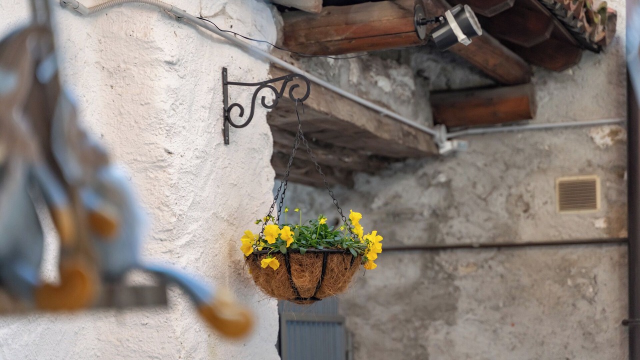 Photo of Others in Cassina Valsassina