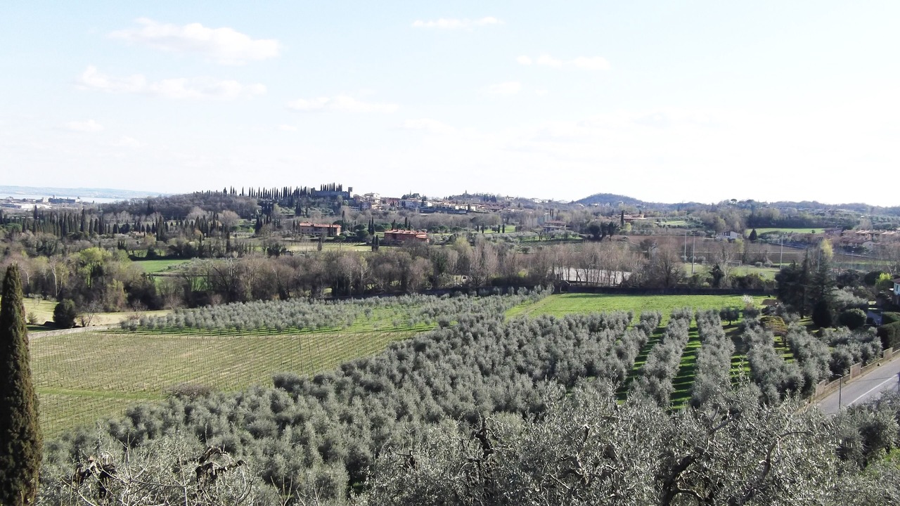 Photo of Others in Polpenazze del Garda