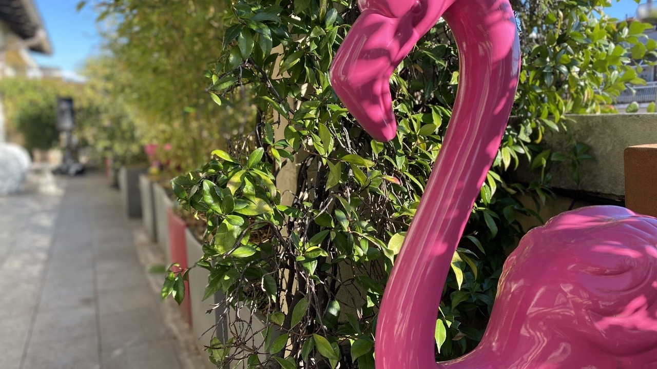 Photo of Outdoor in Milan