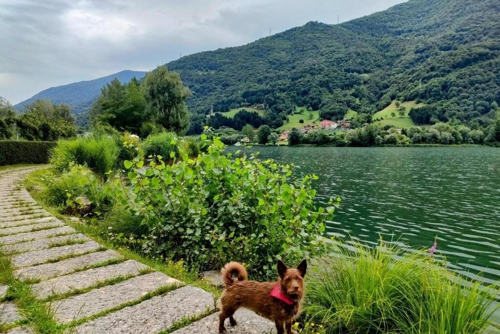 Photo of Others in Ranzanico