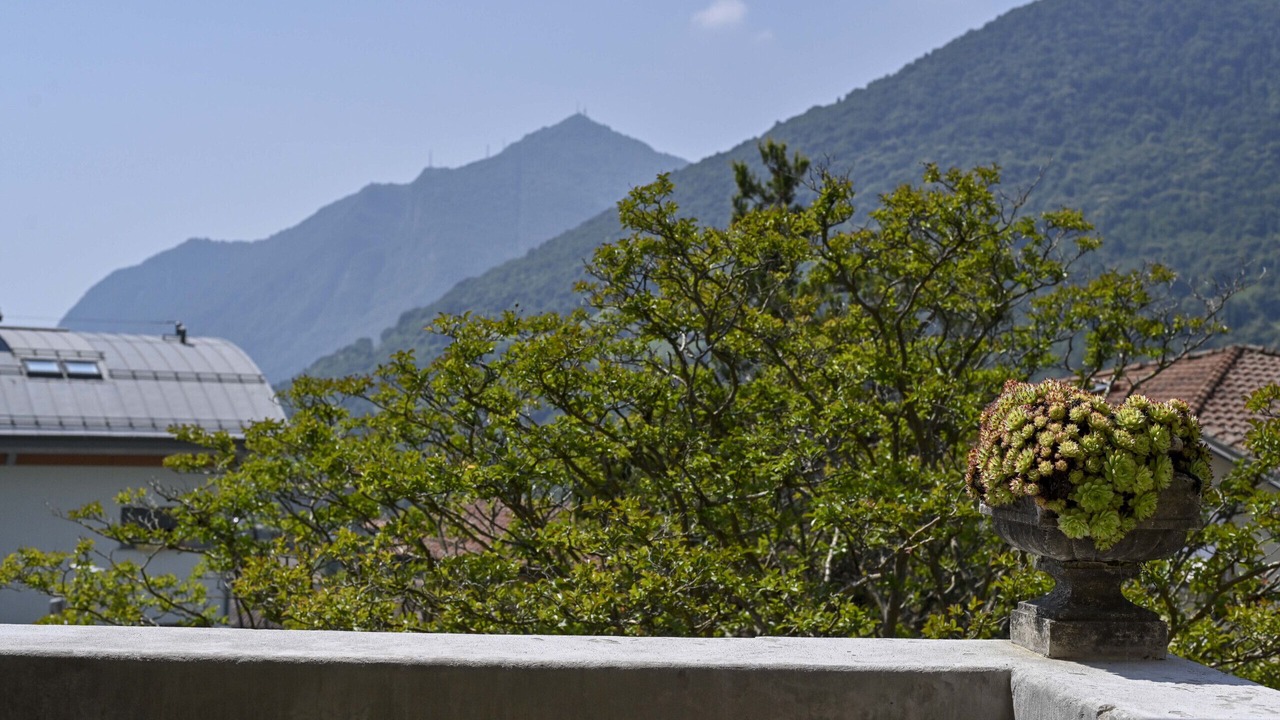 Photo of Outdoor in Solto Collina