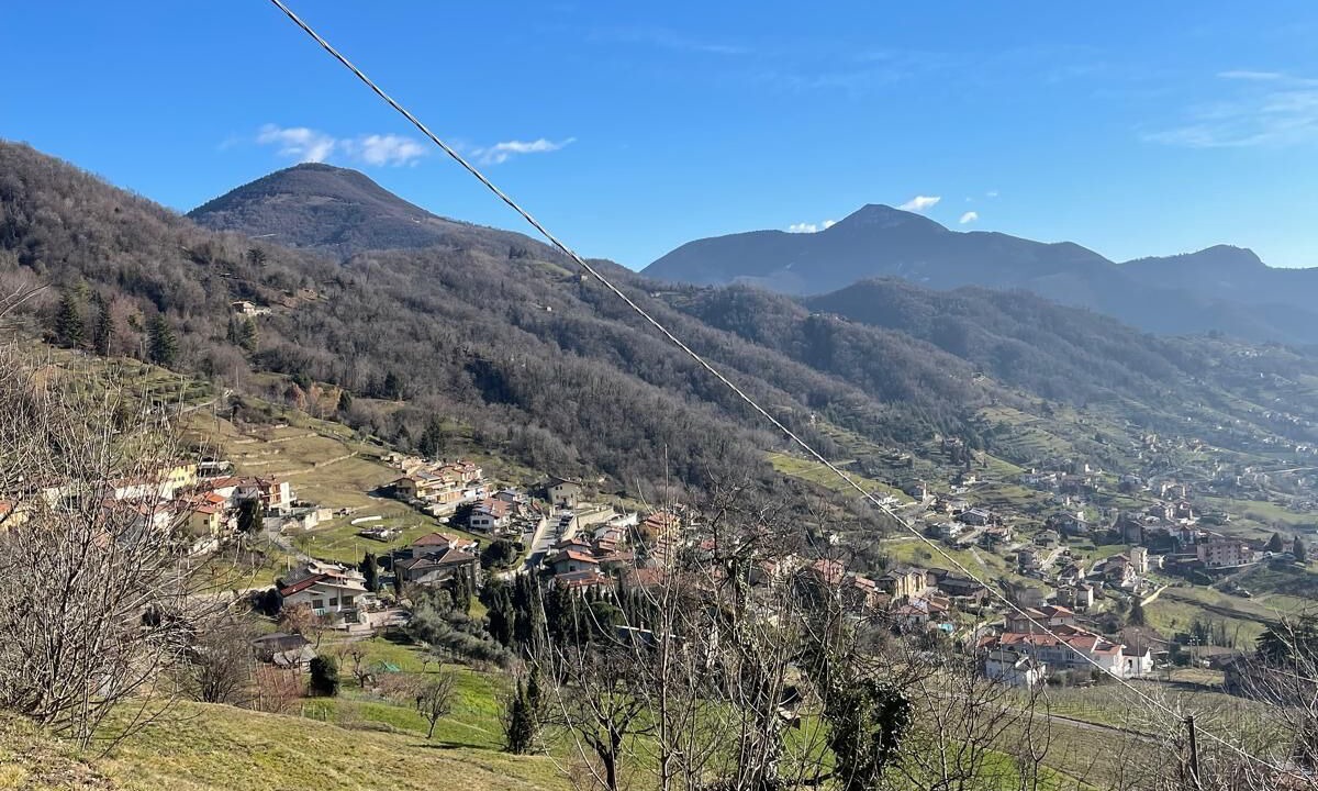 Photo of Others in Foresto Sparso