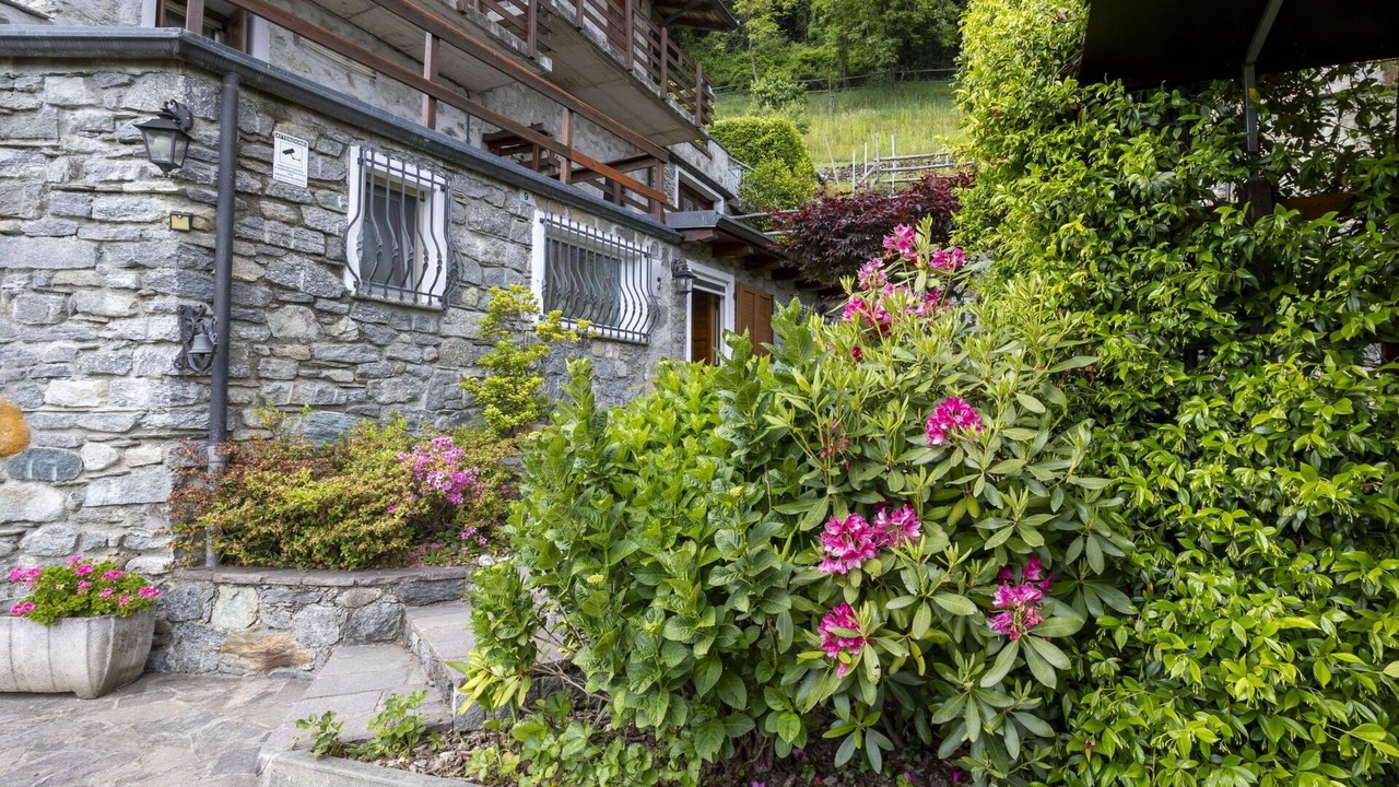 Photo of Outdoor in Traona