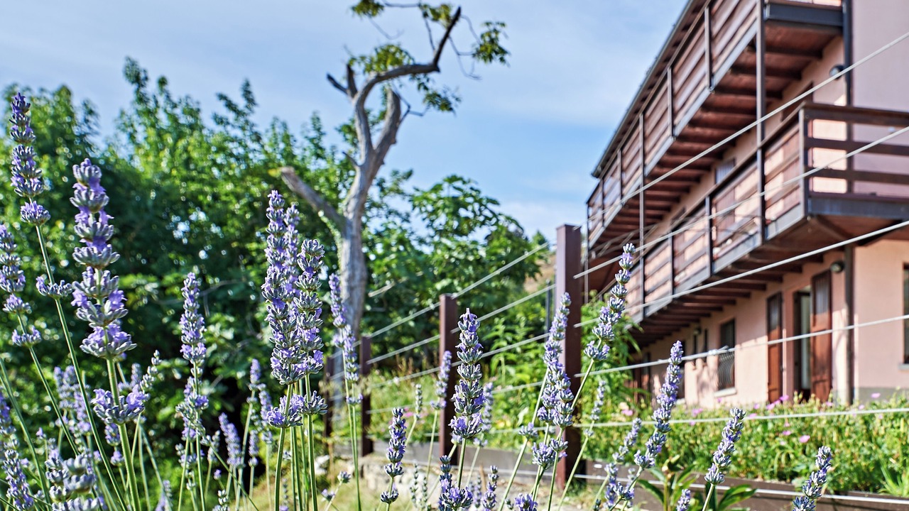 Photo of Outdoor in Albano Sant'Alessandro