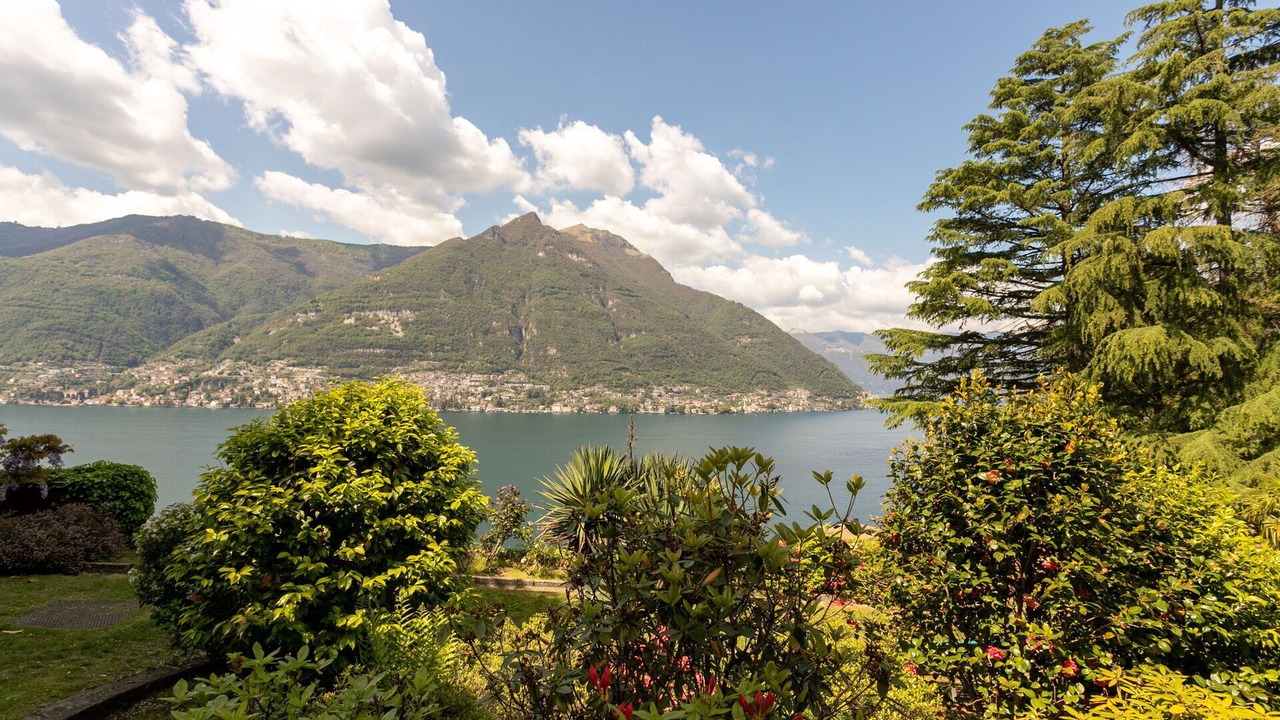 Photo of Others in Riva