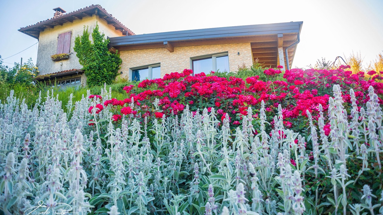 Photo of Outdoor in Torrone