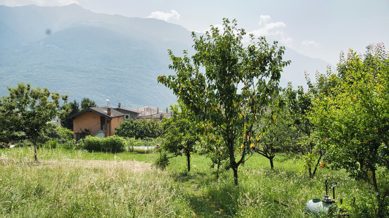 Photo of Outdoor in Traona
