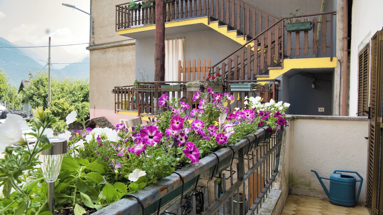 Photo of Outdoor in Traona