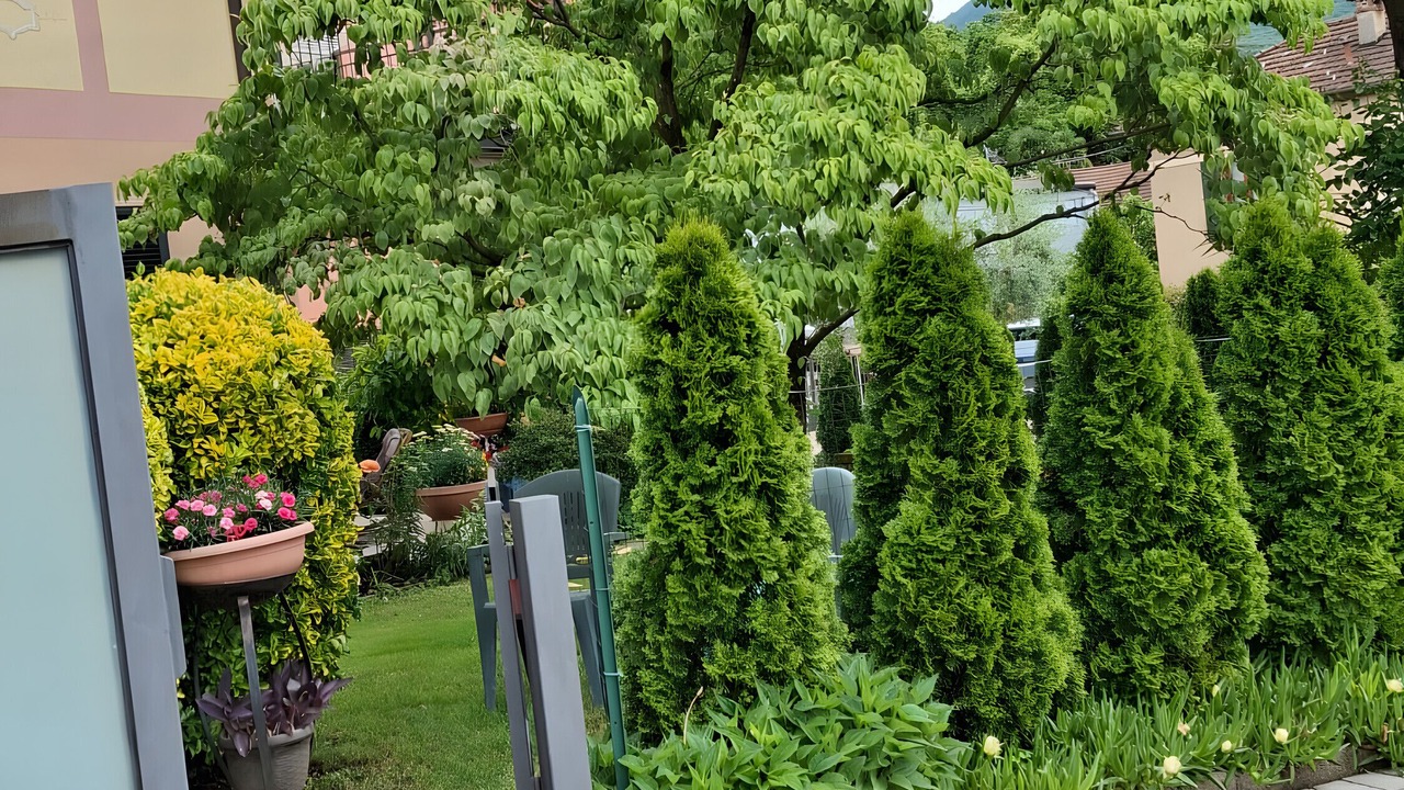 Photo of Outdoor in Luino