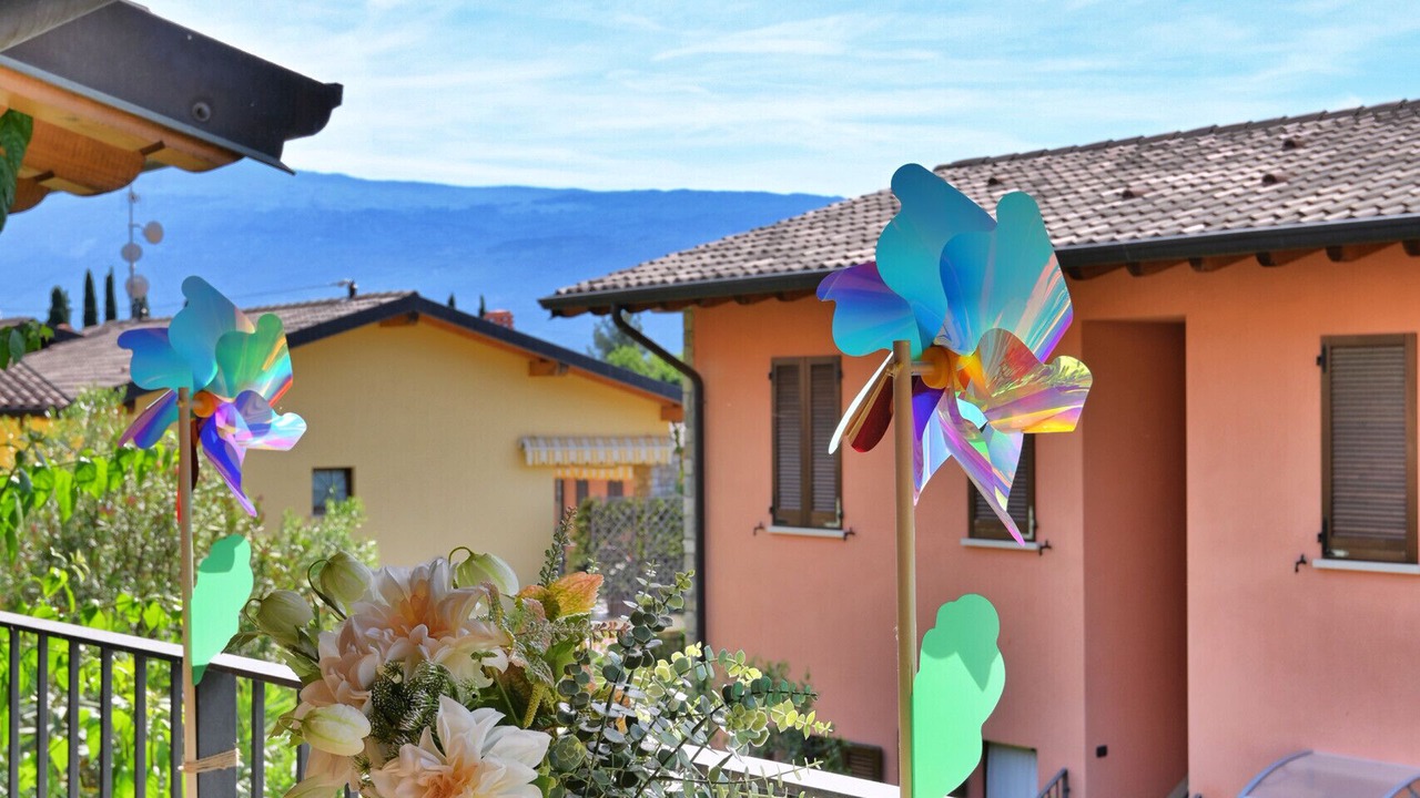 Photo of Others in Cecina