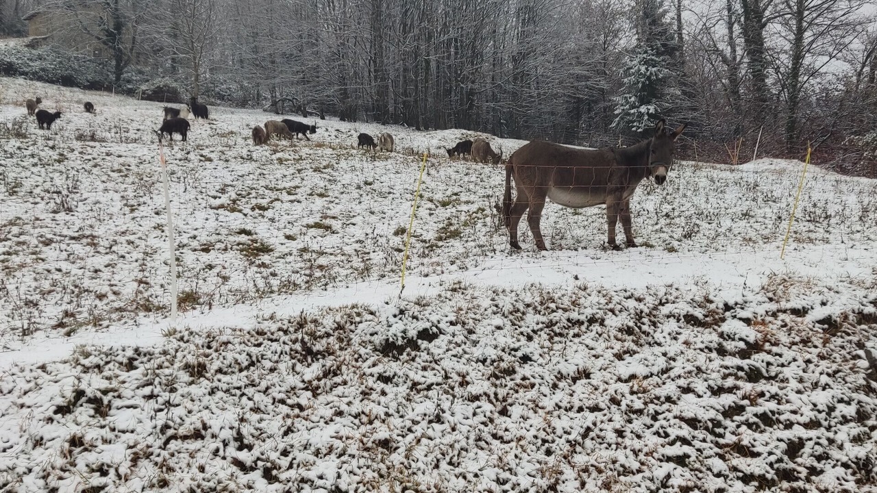 Photo of Others in San Giovanni Bianco