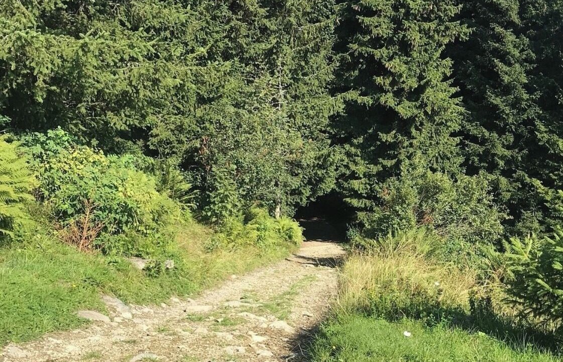 Photo of Others in Castione della Presolana