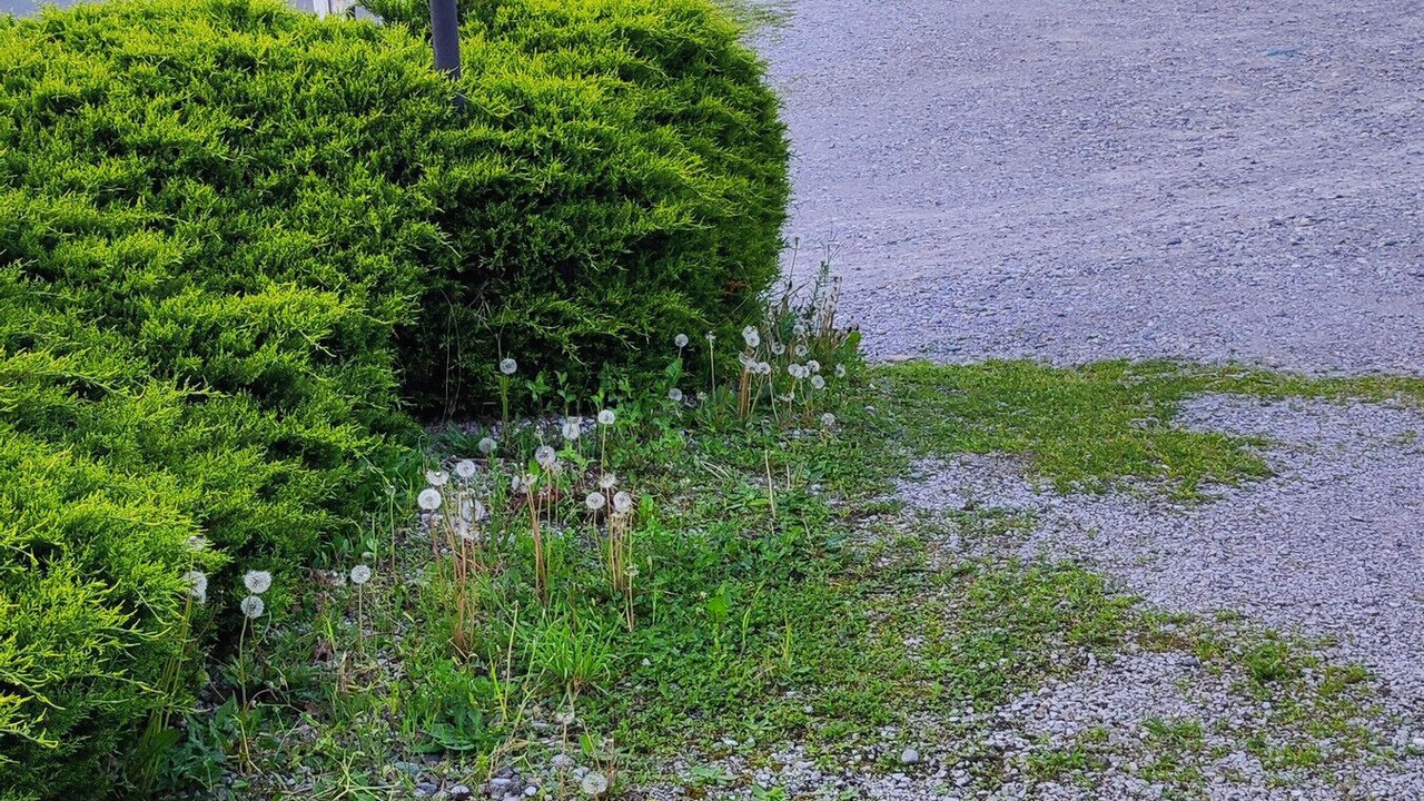 Photo of Outdoor in Alzate Brianza