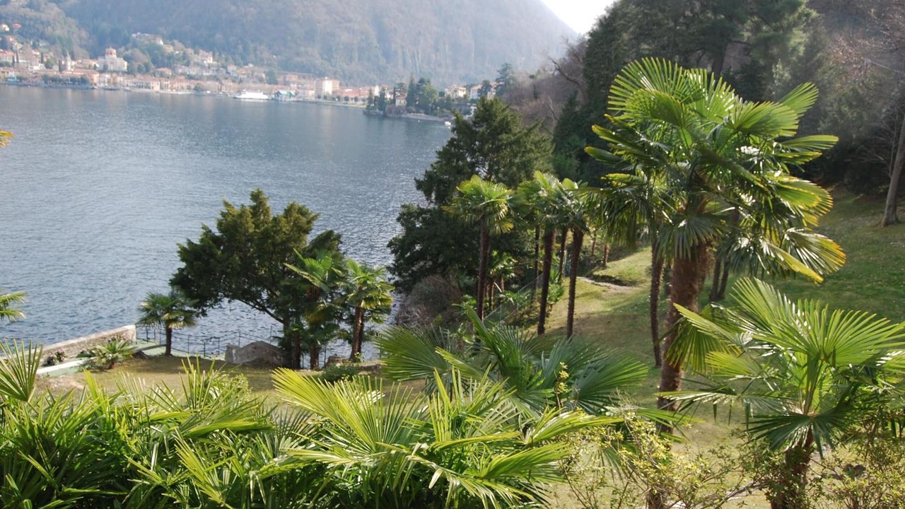 Photo of Outdoor in Laveno Mombello