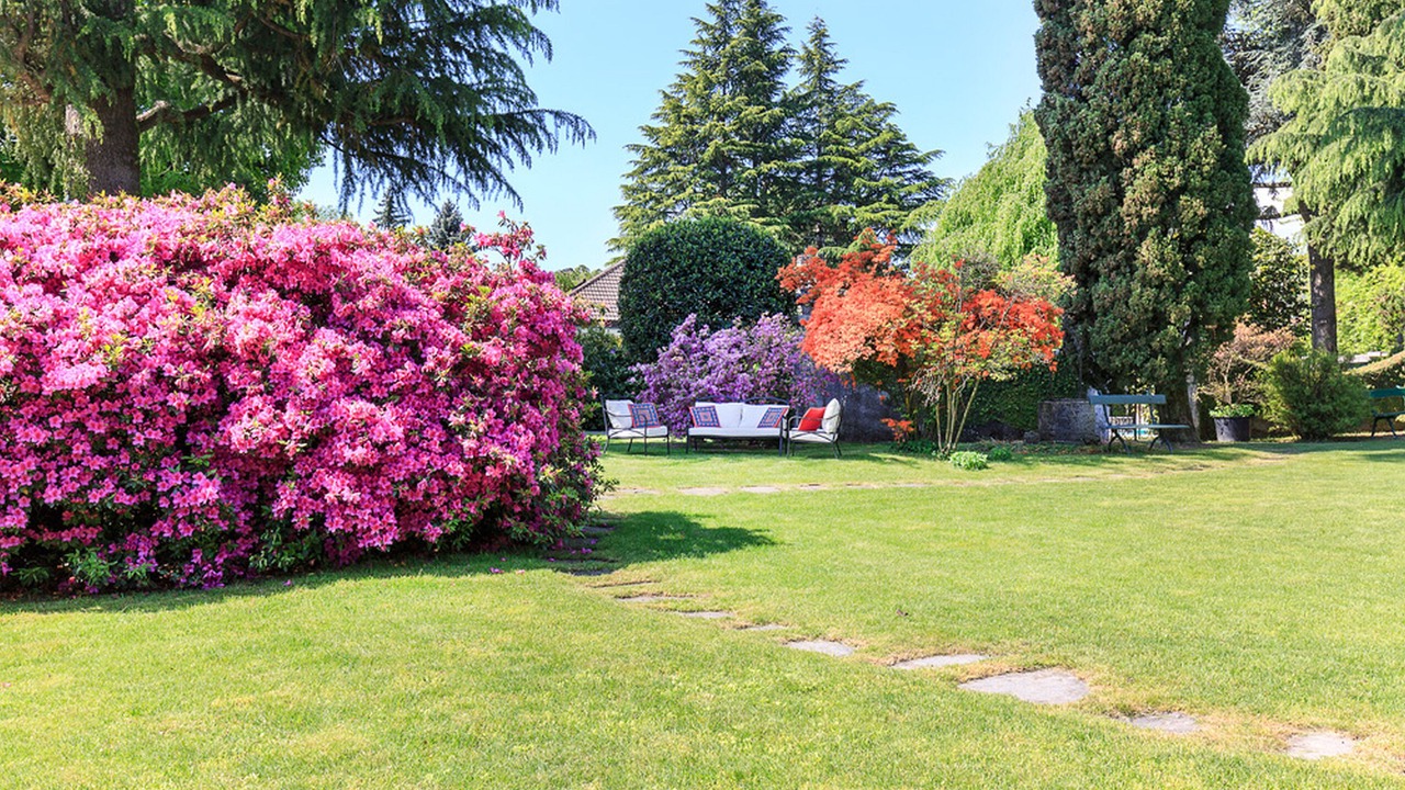 Photo of Outdoor in Barza