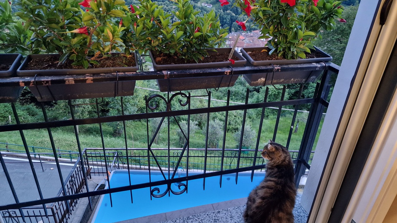 Photo of Outdoor in Dizzasco