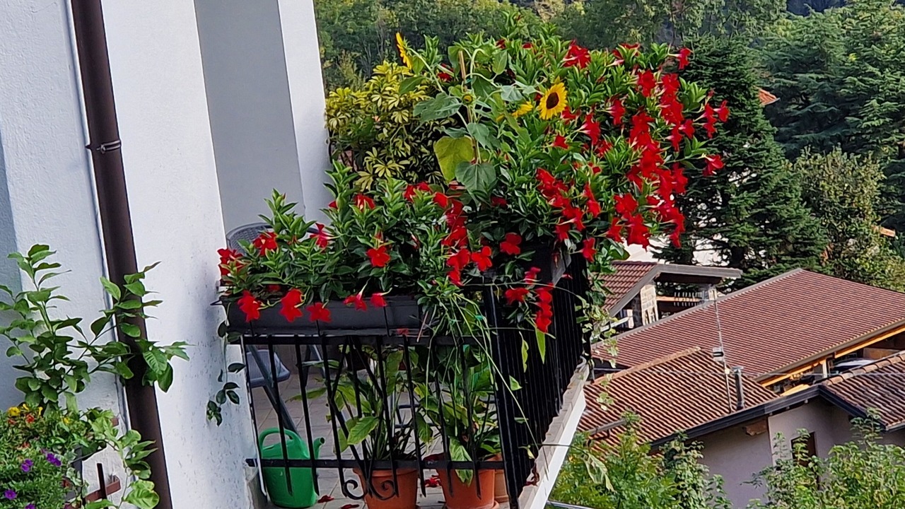 Photo of Outdoor in Dizzasco