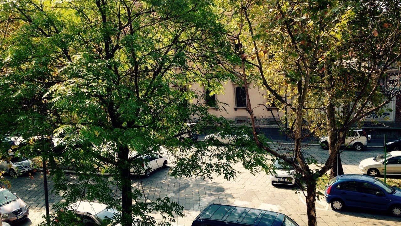 Photo of Outdoor in Porta Garibaldi