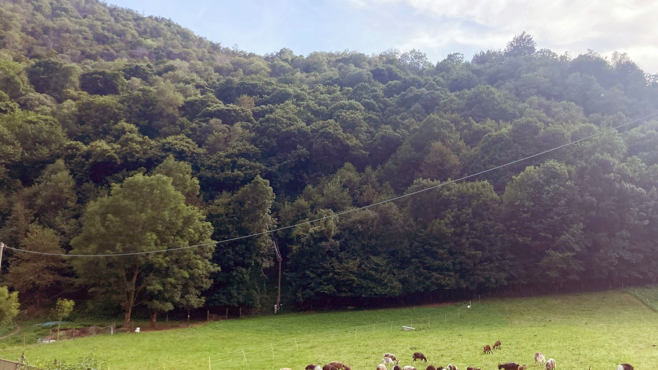 Photo of Others in Ballabio