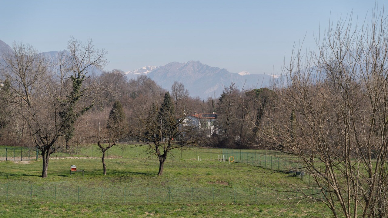 Photo of Others in Bosisio Parini